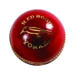 A01 RED ROBIN CRICKET BALLS
