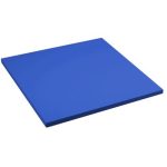 A043 Judo / Wrestling Mat