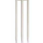 C07 Cricket Wickets
